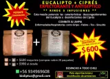 EUCALIPTO Y CIPRES FRESCO OFERTA PACK $600 MAYORISTA
