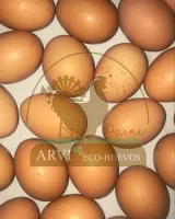 Venta de Huevos de Campo Orgánicos y de Gallinas