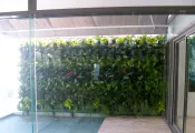 Paneles para construir Murales Verdes y Hortalizas Verticales