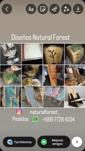 Natural Forest Arte en madera muebles a pedido