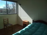 Habitación soleada y cómoda