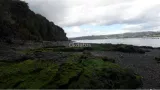 Parcela con orilla de mar en Chiloé