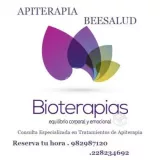 Apiterapia Beesalud Medicina Natural