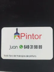 PINTOR CASAS PROFESIONAL