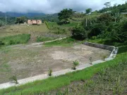 VENTA DE LOTE VIA GUADUAS