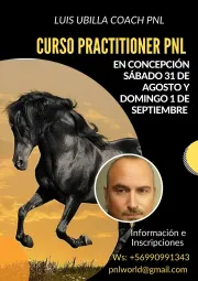 CURSO PRACTITIONER EN PROGRAMACIÓN NEUROLINGÜÍSTICA (PNL)