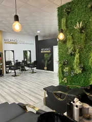 Franquicias MILANO