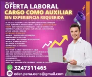 AUXILIAR REMOTO SIN EXPERIENCIA REQUERIDA