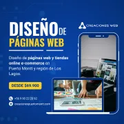 Diseño de Páginas Web econòmicas en Puerto Montt