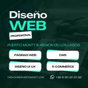 Diseño Web en Puerto Montt - Paginas y Sitios Web a excelentes precios