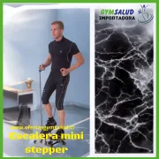 Escaladora Mini Stpper Twister