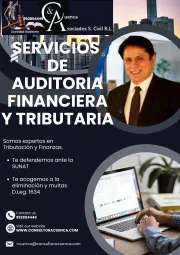 BRINDO SERVICIOS DE AUDITORIA FINANCIERA Y TRIBUTARIA