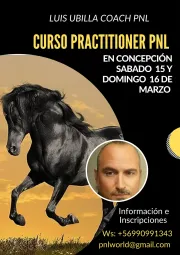 CURSO PRACTITIONER EN PROGRAMACIÓN NEUROLINGÜÍSTICA (PNL)