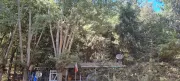 PARCELA DE 5.000 MTS 2 CON CASA 92 MT2, EN EL SECTOR DE BUREO ALTO ,KM 12