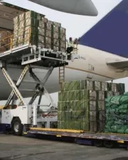 Transporte Aereo PSD CARGO