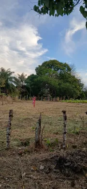 🇵🇦 ¡Tu Paraíso en Pedasí te Espera! – Terreno de 450 m² en Venta