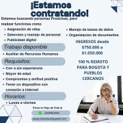 Trabajo remoto sin experiencia
