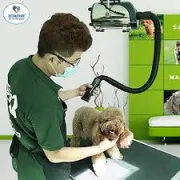 Técnicos en sopladoras para veterinaria y hervidor de huevos