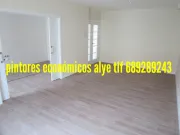 pintor en ciempozuelos ( alye: 689289243) español y económico