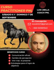 CURSO PRACTITIONER EN PROGRAMACIÓN NEUROLINGÜÍSTICA (PNL)