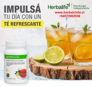 ¡Impulsa tu energía al instante! Prueba el Herbal Tea Concentrate