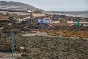 Algas marinas peruvian seaweed peruvian