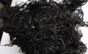 seaweed gigartina chamissoi yuyo chicoria de mar peruvian