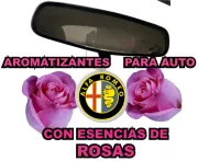 AROMATIZANTES PARA AUTO ARTICULOS PROMOCIONALES QUE SI SE USAN