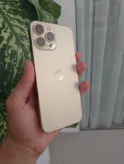 Iphone 13 Pro Max 256 GB- Dorado (reacondicionado)