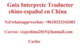 Guia Interprete Traductor chino en Linyi